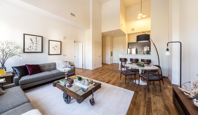 Interior Photo - Hahne and Co.