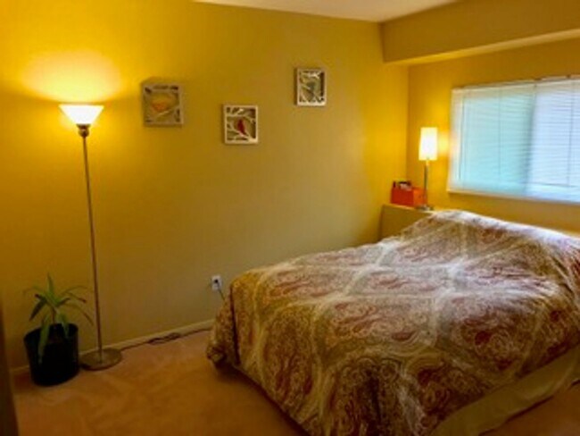 Building Photo - Cozy home blocks from the beach in Leucadia in a quiet cul-de-sac