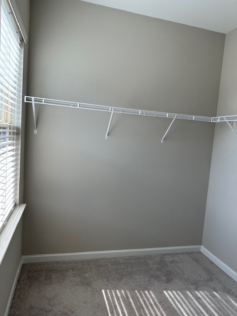 Building Photo - 4210 Essex Pond Wy