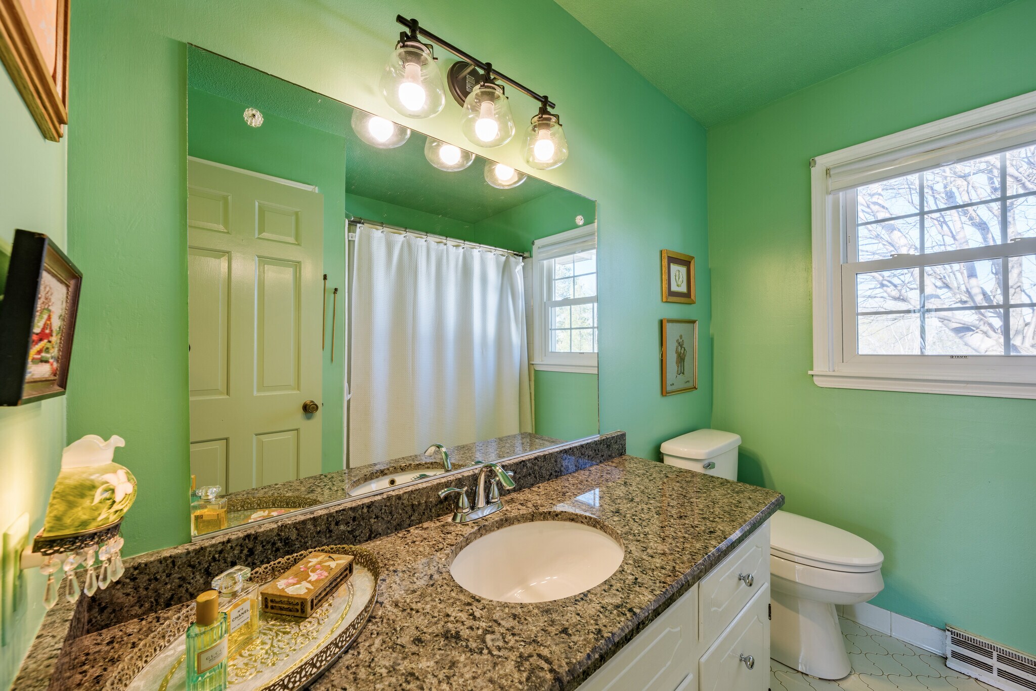 Hall bath - 510 Hemingway Dr