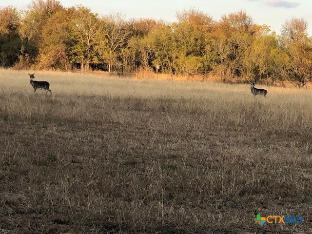 Building Photo - 1512 River Grove Rd