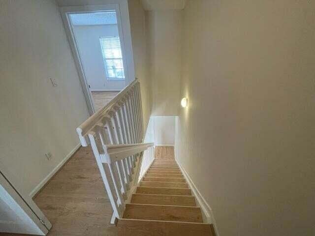 Building Photo - 5219 Palmbrooke Cir