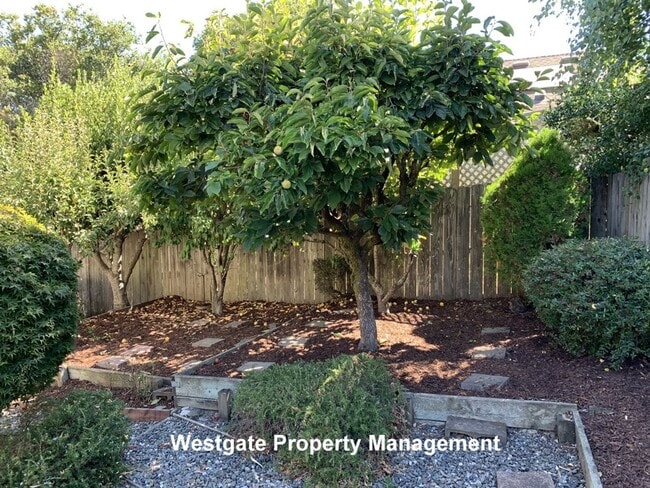 Building Photo - 1160 Birch Dr