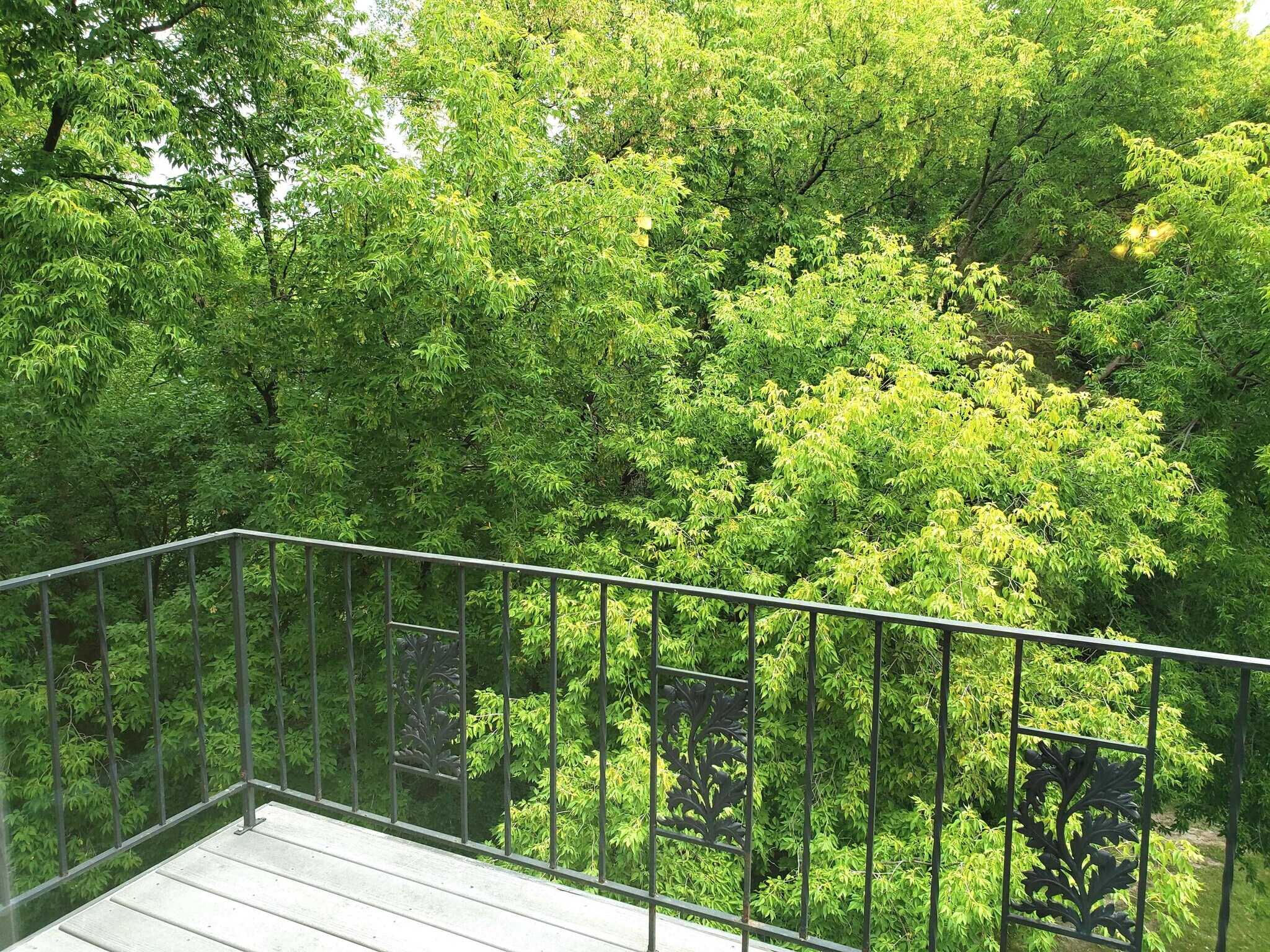 Private Balcony View - 179 Little Canada Rd E