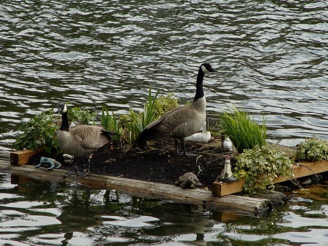 Building Photo - H134563B