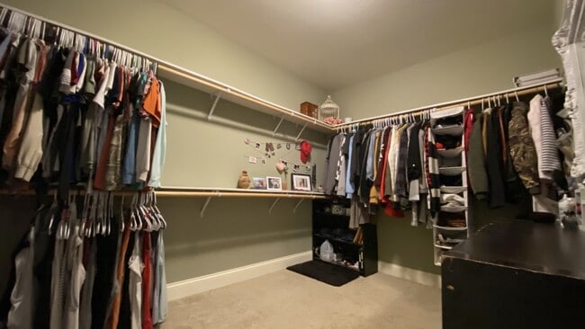 Building Photo - Gorgeous 3 Bedroom, 2 Bathroom Home in Woodridge Estates