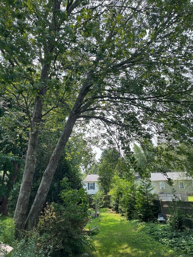 Building Photo - Rare Find Single Family Home in South Port...
