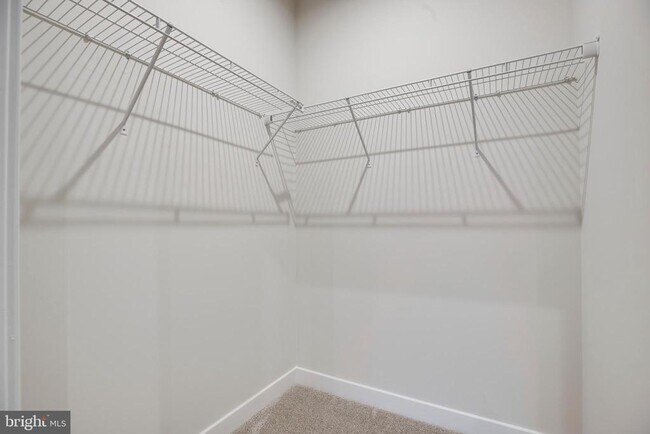 Building Photo - 4357 Black Tulip Wy