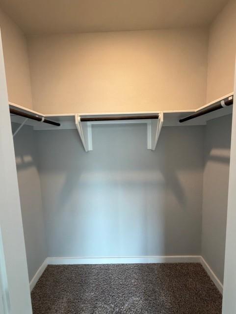 Building Photo - 11427 Pastini Cir