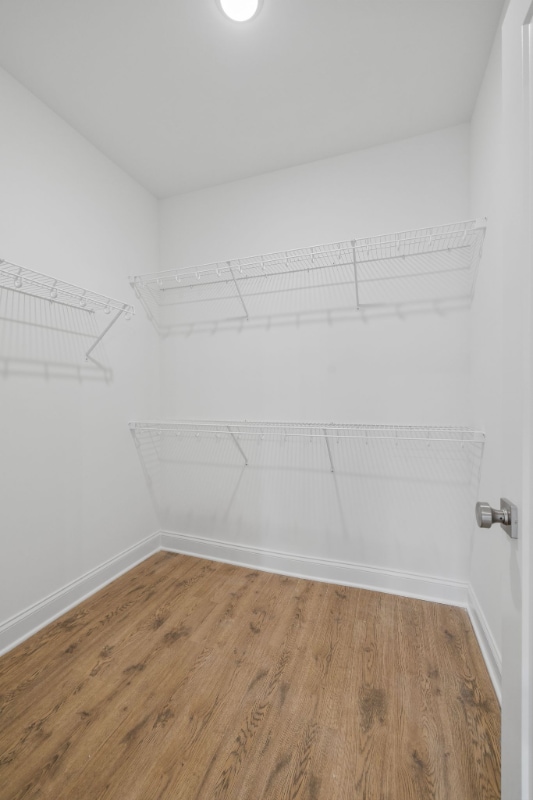 Building Photo - 1908 Gracie Bug Lp