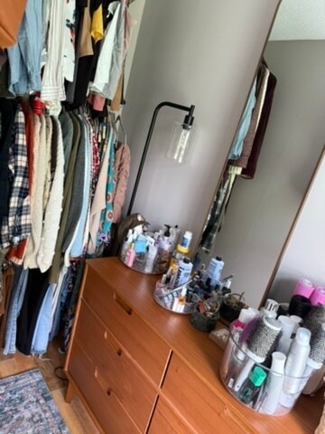 closet in downstairs bedroom - 22 Hawthorne St