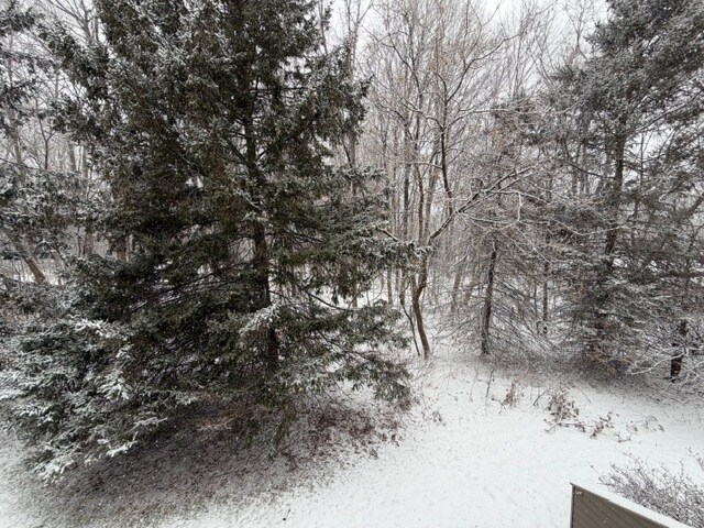 Building Photo - 58 Overlook Dr