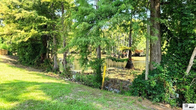 Building Photo - 923 Fortune Dr