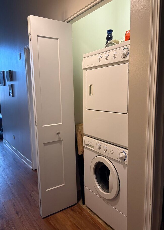 Building Photo - South Loop Chicago 1 Bed 1 Bath Apartment
