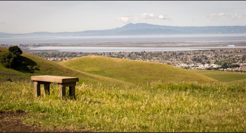 Building Photo - 231 Goldback Ct