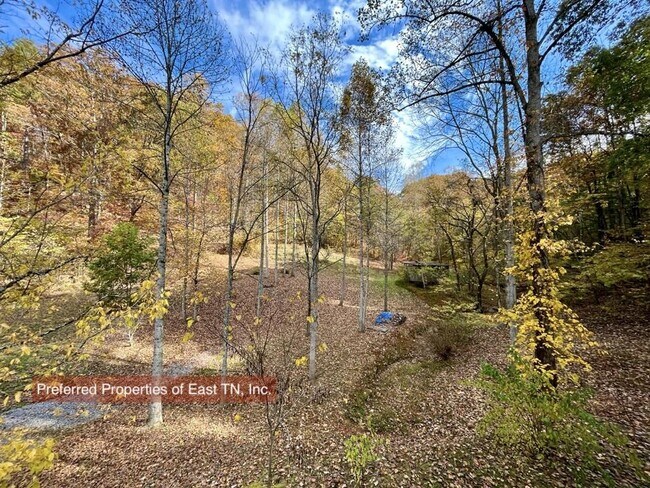 Building Photo - 709 Brown Mountain Rd