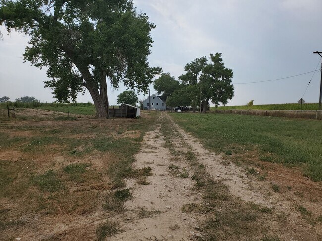 Building Photo - 4 Bedroom Horse Property on 3 acres close to downtown Ault