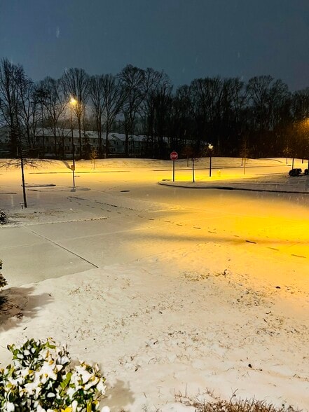 Street in Snow (1) - 4014 Audubon Park Dr