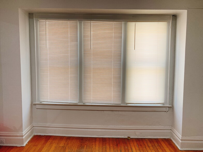 Dining room windows - 853 Ackerman Ave