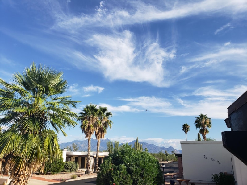 Building Photo - 328 N Calle Del Chancero