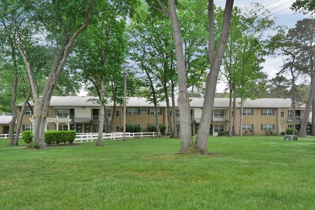 The Pines - The Pines + AW @ Pinewood Estates -