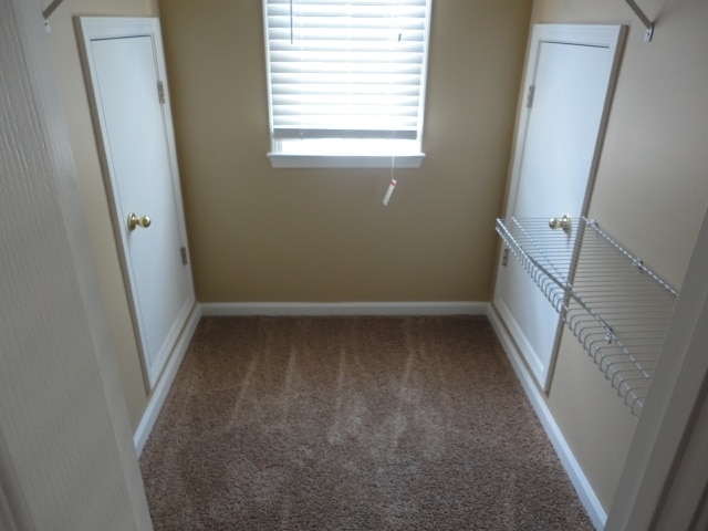 Building Photo - 1701 Hillside Bend Xing