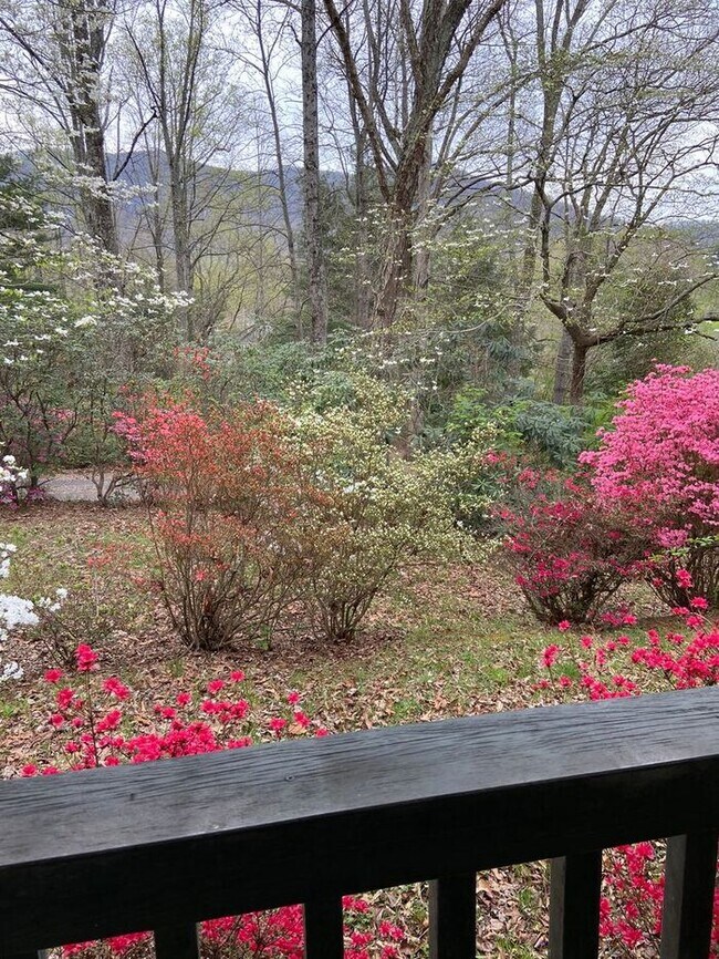 Building Photo - Swannanoa Cottage