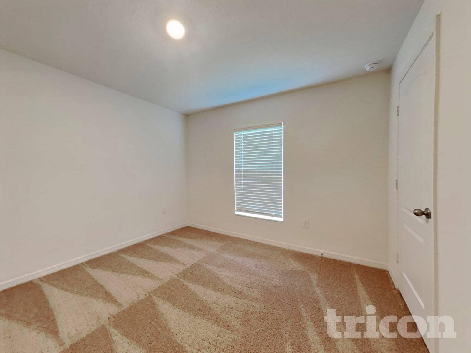 Building Photo - 4446 Horse Creek Ln