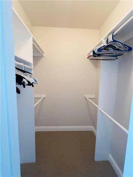 Building Photo - 5007 Towering Oaks Ave