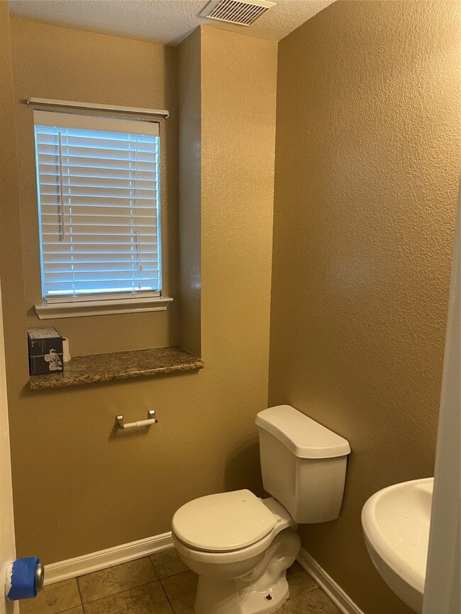 Building Photo - 2630 Skyview Shadows Ct