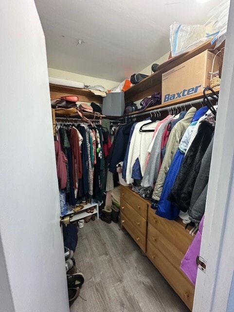 Walk-in Closet - 855 Granite Ridge Dr