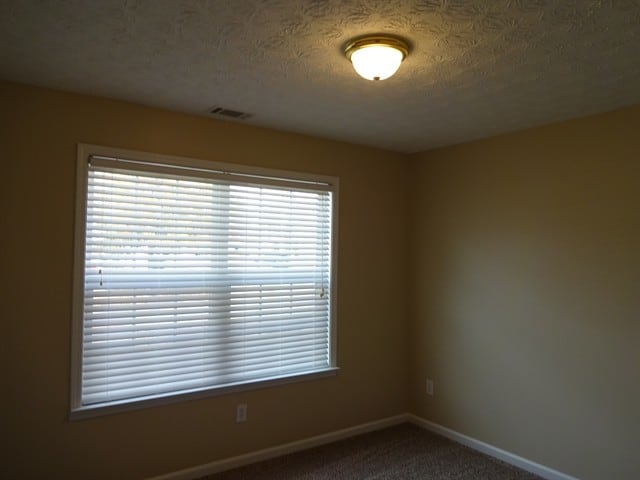 Building Photo - 1633 Virgil Pond Ln