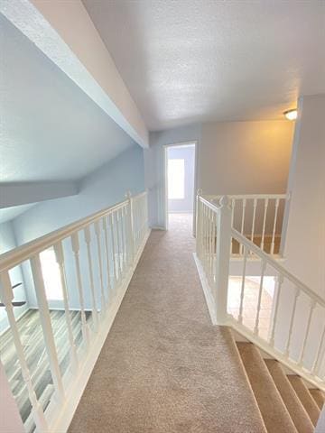 Building Photo - 4150 Briar Hill Dr