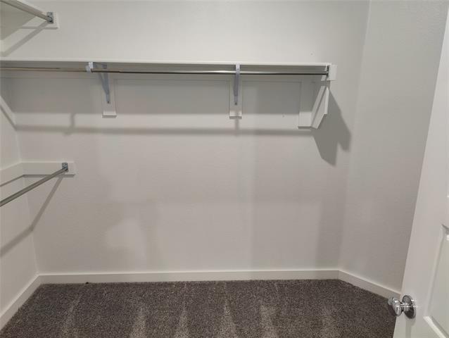 Building Photo - 4005 Belton Ct