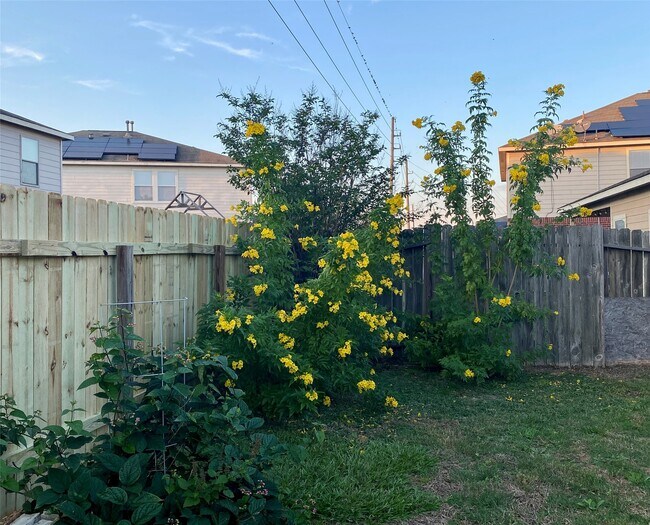 Building Photo - 2827 Mustang Hill Ln