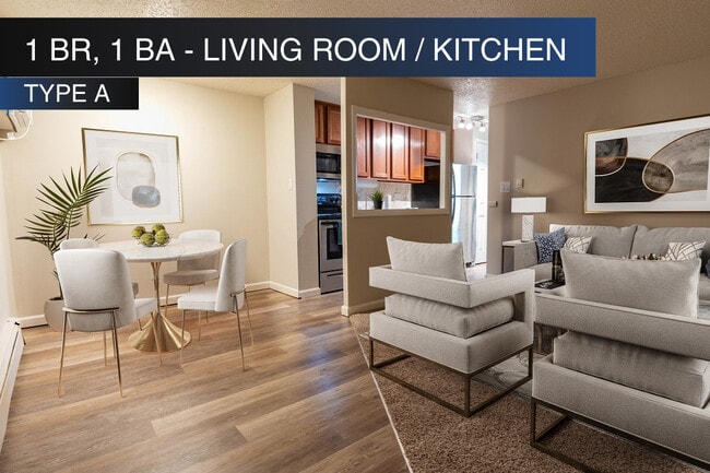 1 BR, 1 BA - Updated Living Room (Type A) - Roman Villa Apartments