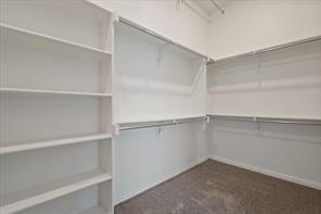 Building Photo - 7244 Sideoats Gama St
