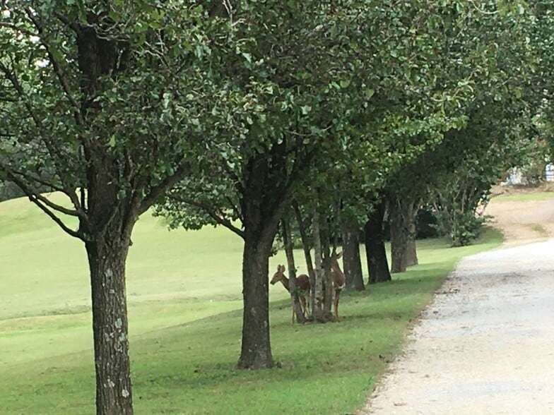 Building Photo - 174 Schools Dr