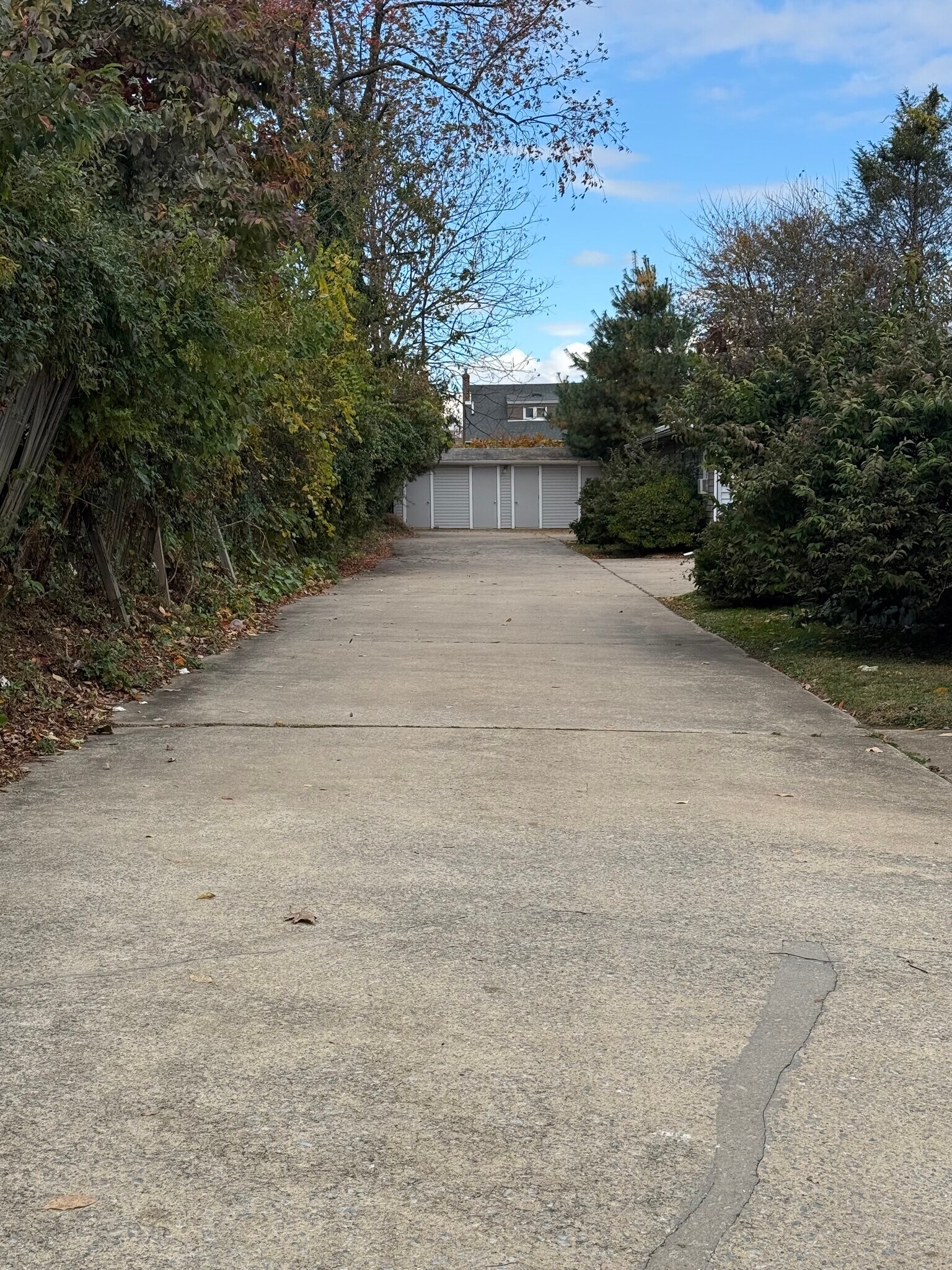 Building Photo - 251 Davis Ave