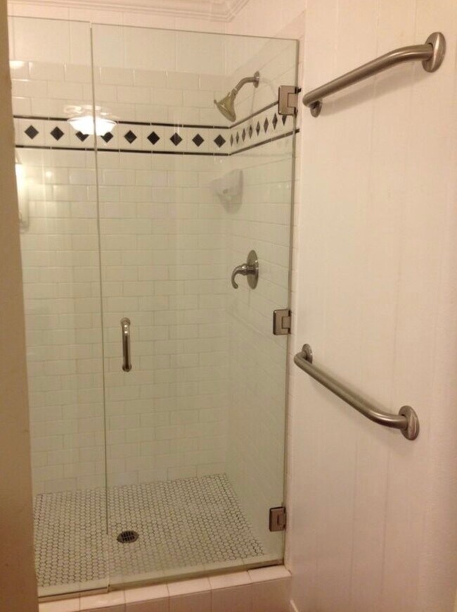 Master ensuite shower - 420 2nd St