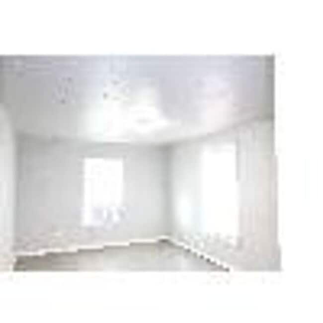 Building Photo - COZY 1 bedroom 1 bathroom