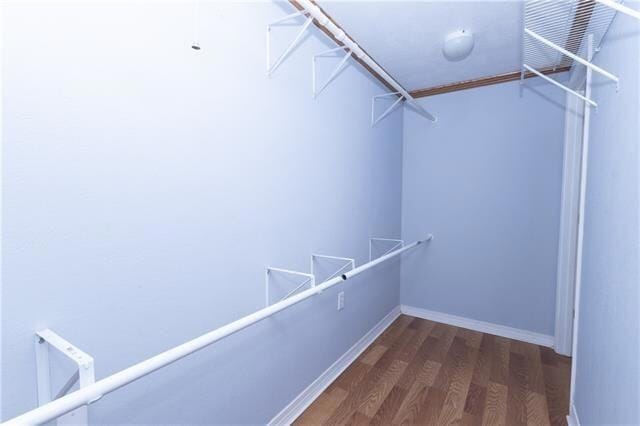 Building Photo - 3253 Reine Ave