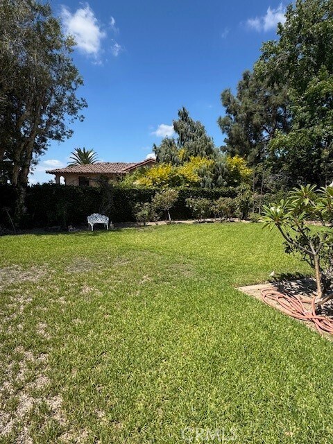 Building Photo - 10821 Vida Dr