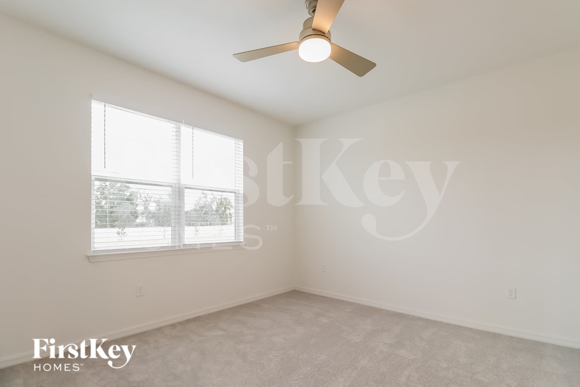 Building Photo - 117 Windsor Reserve Dr