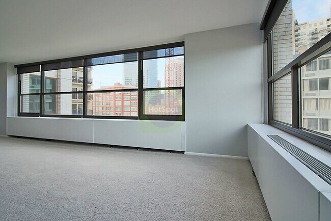 Building Photo - 1139 S Michigan Ave