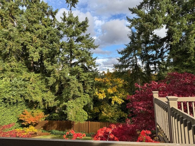 Building Photo - Cozy 5 bedr 3 bath rambler with daylight basement, minutes to Somerset schools