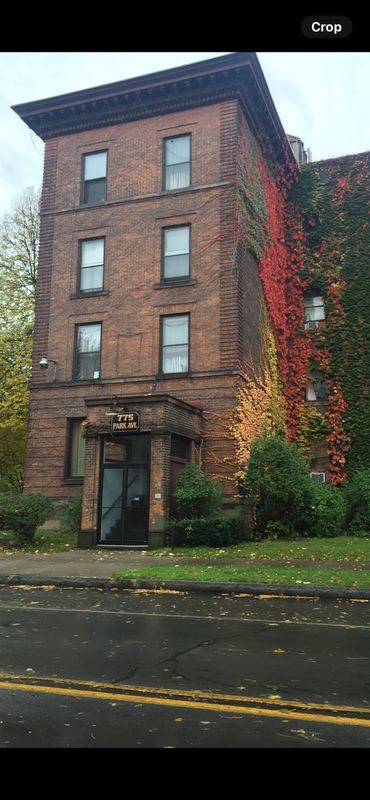 Primary Photo - 775 Park Ave