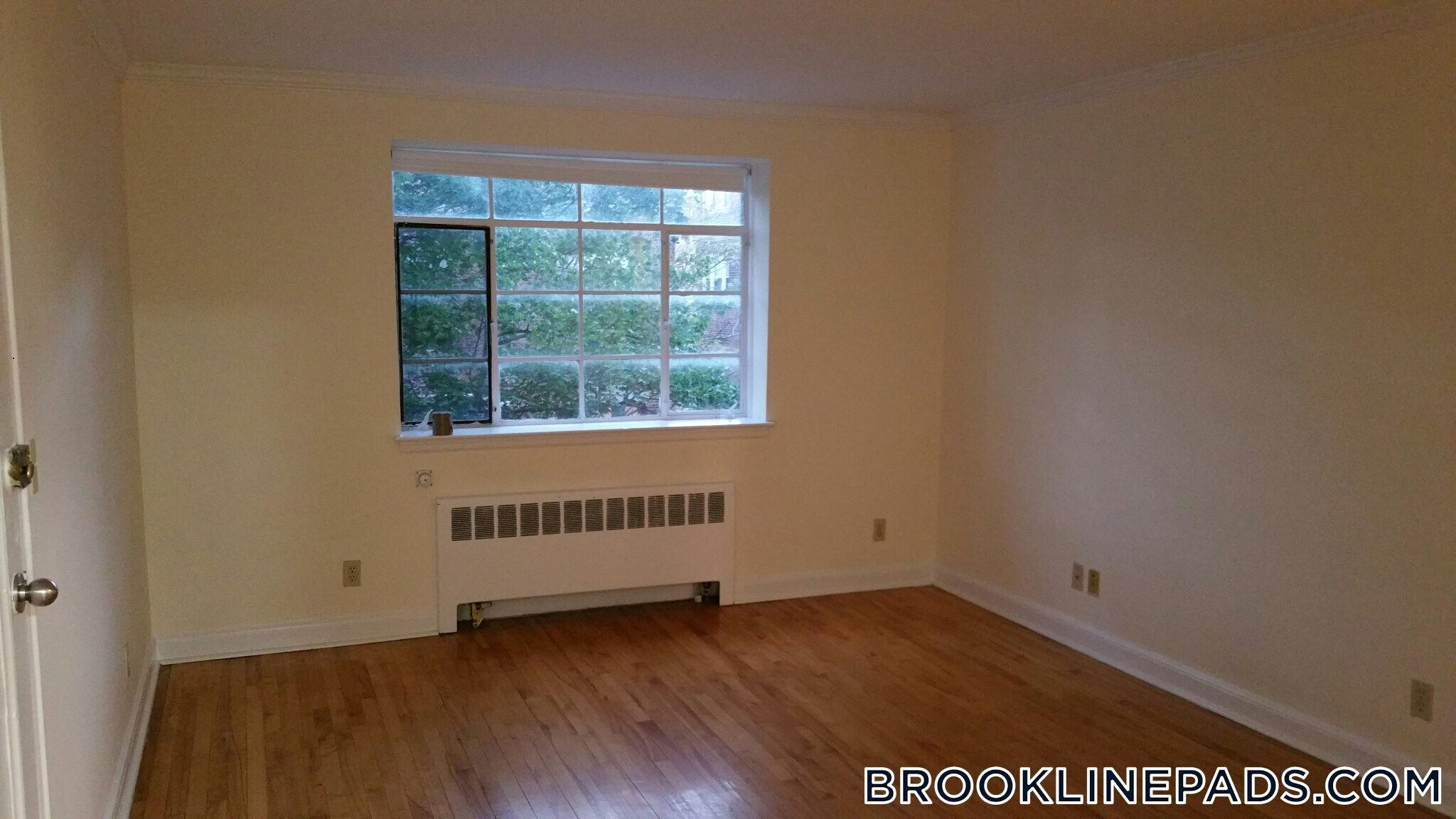 Building Photo - 50 Alton Pl