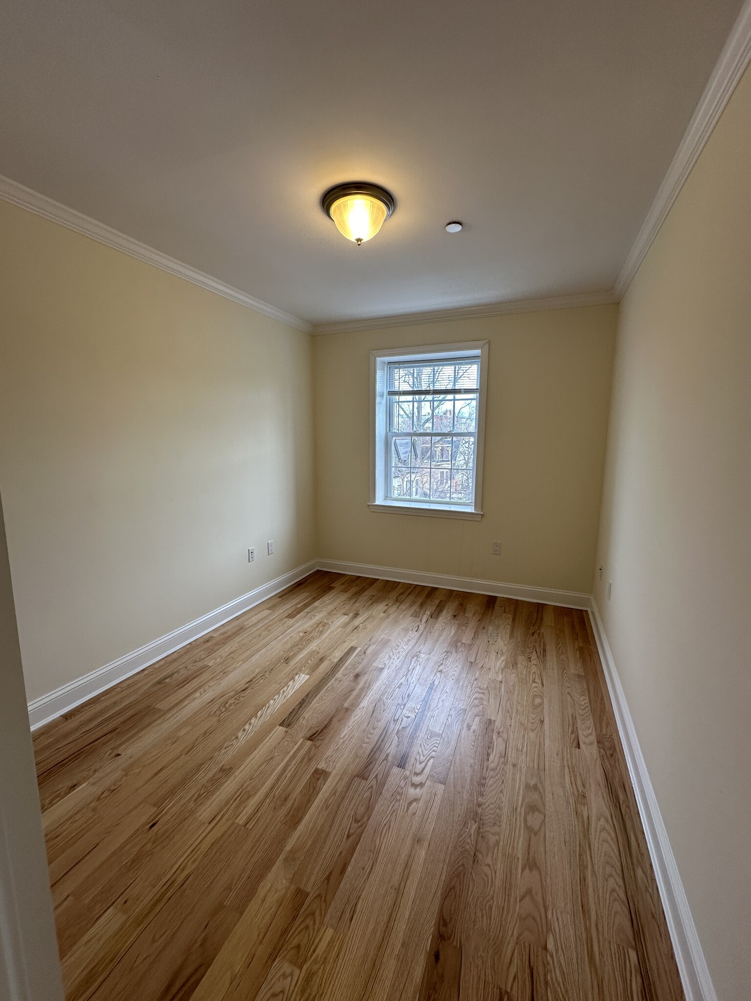 Building Photo - 65 Langdon St