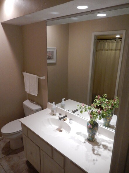 downstairs bathroom - 9106 Emberglow Ln